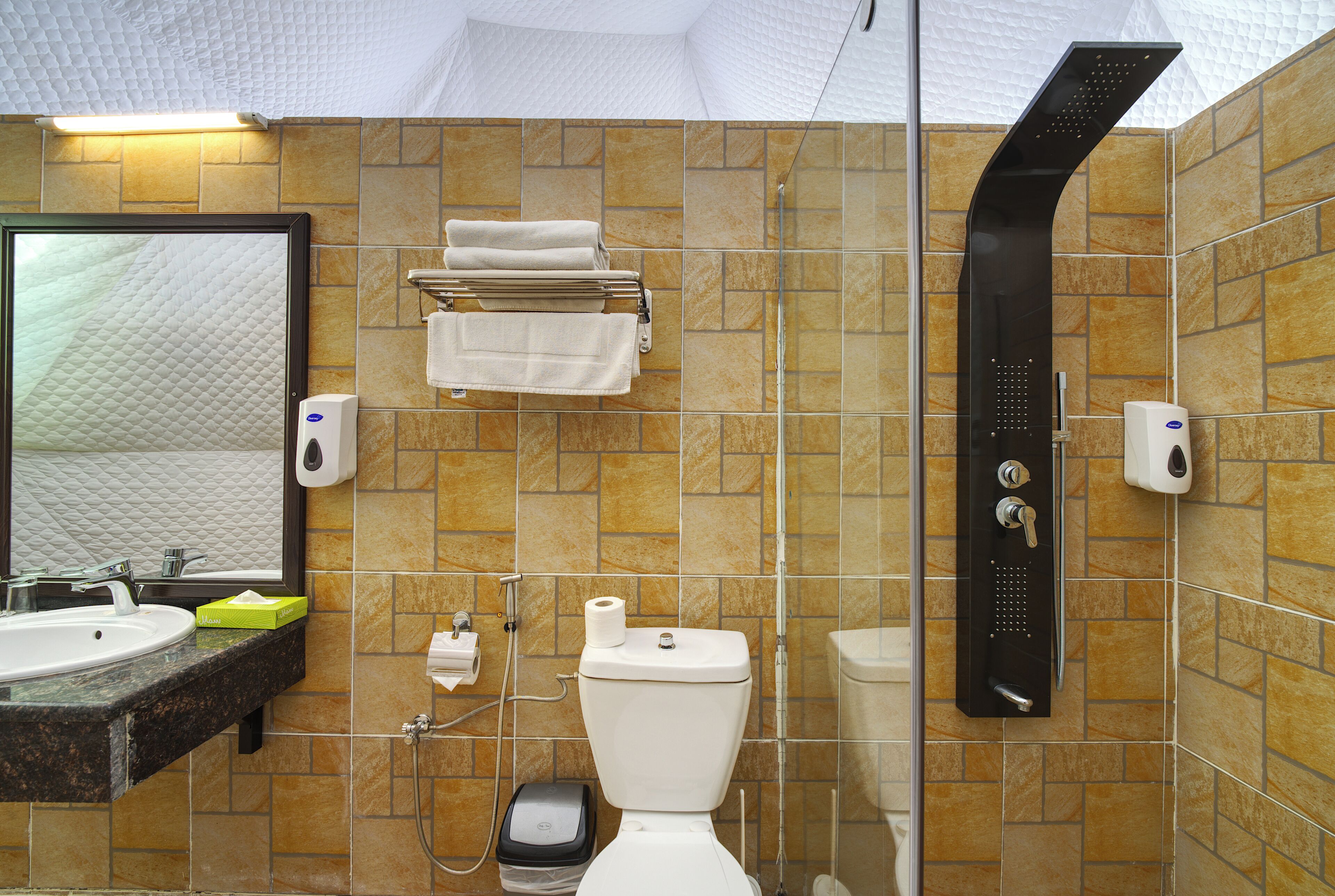 A bathroom with a sink, mirror, toilet, towel rack, and a showerhead.