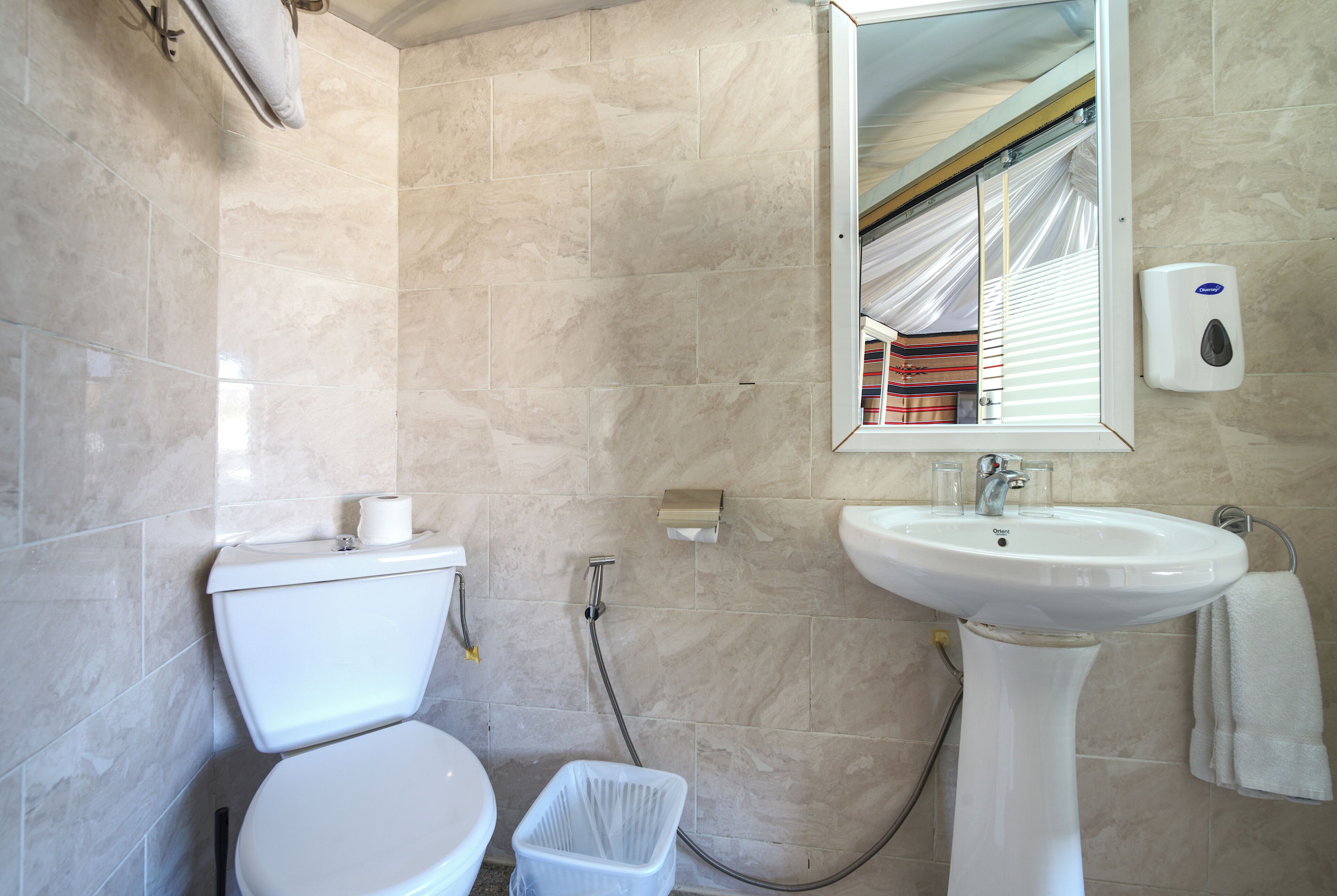 Une salle de bain équipée de toilettes, d’un lavabo et d’une douche.