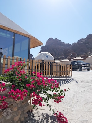 Reception - The Rock Camp Petra (Wadi Musa)