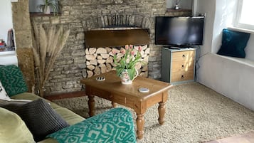 TV, fireplace, books
