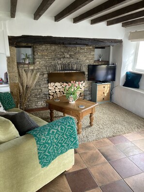 TV, fireplace, books - Thatch 1 bed cottage. Period features. (MARKET HARBOROUGH)