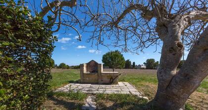 3237 Complesso Verdalis - Monolocale by Barbarhouse