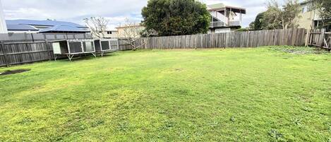 A backyard with a wooden fence, a grassy lawn, and a house in the background.