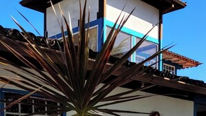 Un edificio con fachada azul y blanca, una planta en maceta en la entrada, y un letrero con escritura cursiva.