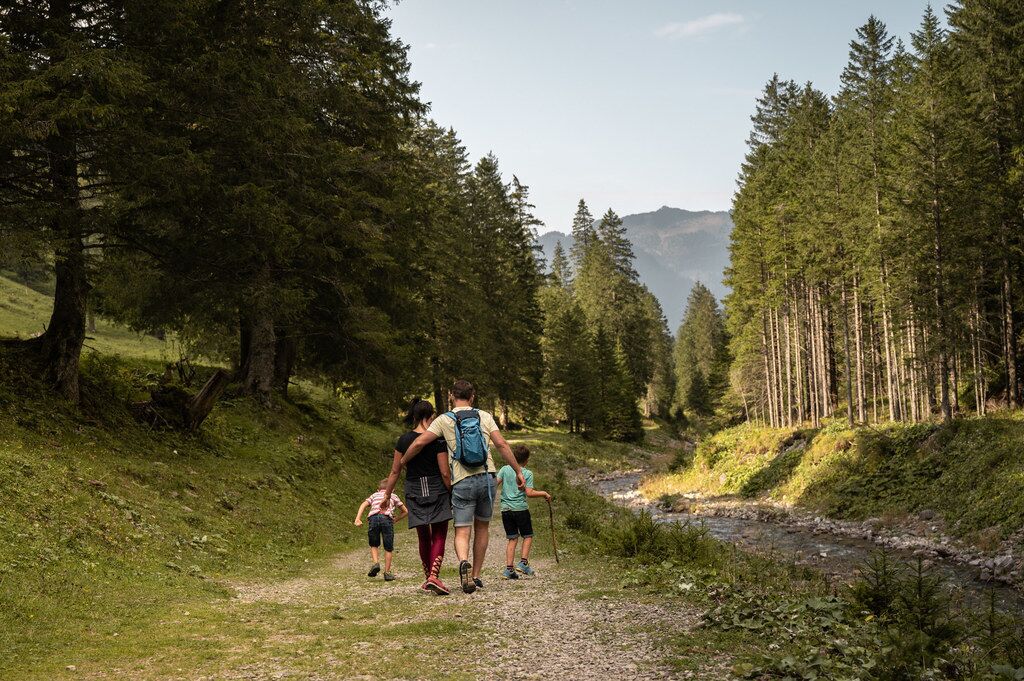 Un grupo de personas caminando por un sendero en un bosque.