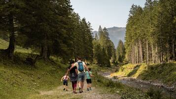 Un grupo de personas caminando por un sendero en un bosque.