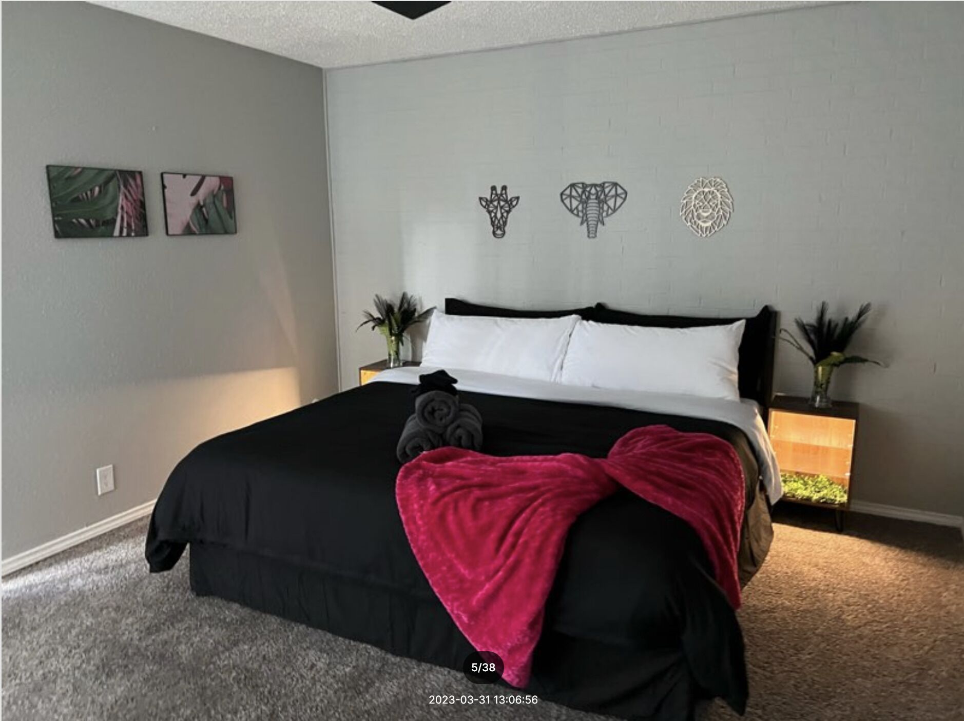 Tropical Vibe 1BR Unit near AT&T Stadium