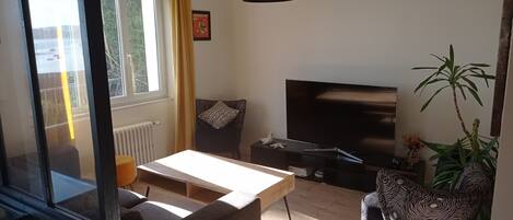 TV connectée, cheminée