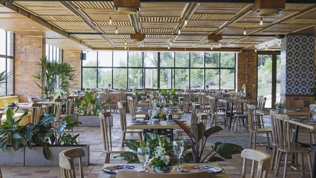 Uma sala de jantar espaçosa com várias mesas e cadeiras, grandes janelas e plantas dentro de casa.