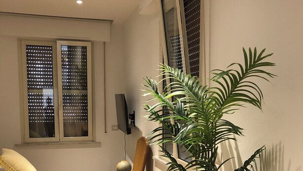 A room with a wooden floor, a wicker chair, a sofa with a yellow pillow, a large potted plant, and a painting on the wall. - Beautiful 2-bedroom apartment in Tirrenia (Tuscany) (Marina di Pisa-tirrenia-calambr)