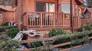 A wooden cabin with a porch, surrounded by greenery and a log. - Odysea Modern Ocean Cabin 26 w/ Jacuzzi & Modern Decor (Private Beach Owned by White Rock Resort) (Smith River)