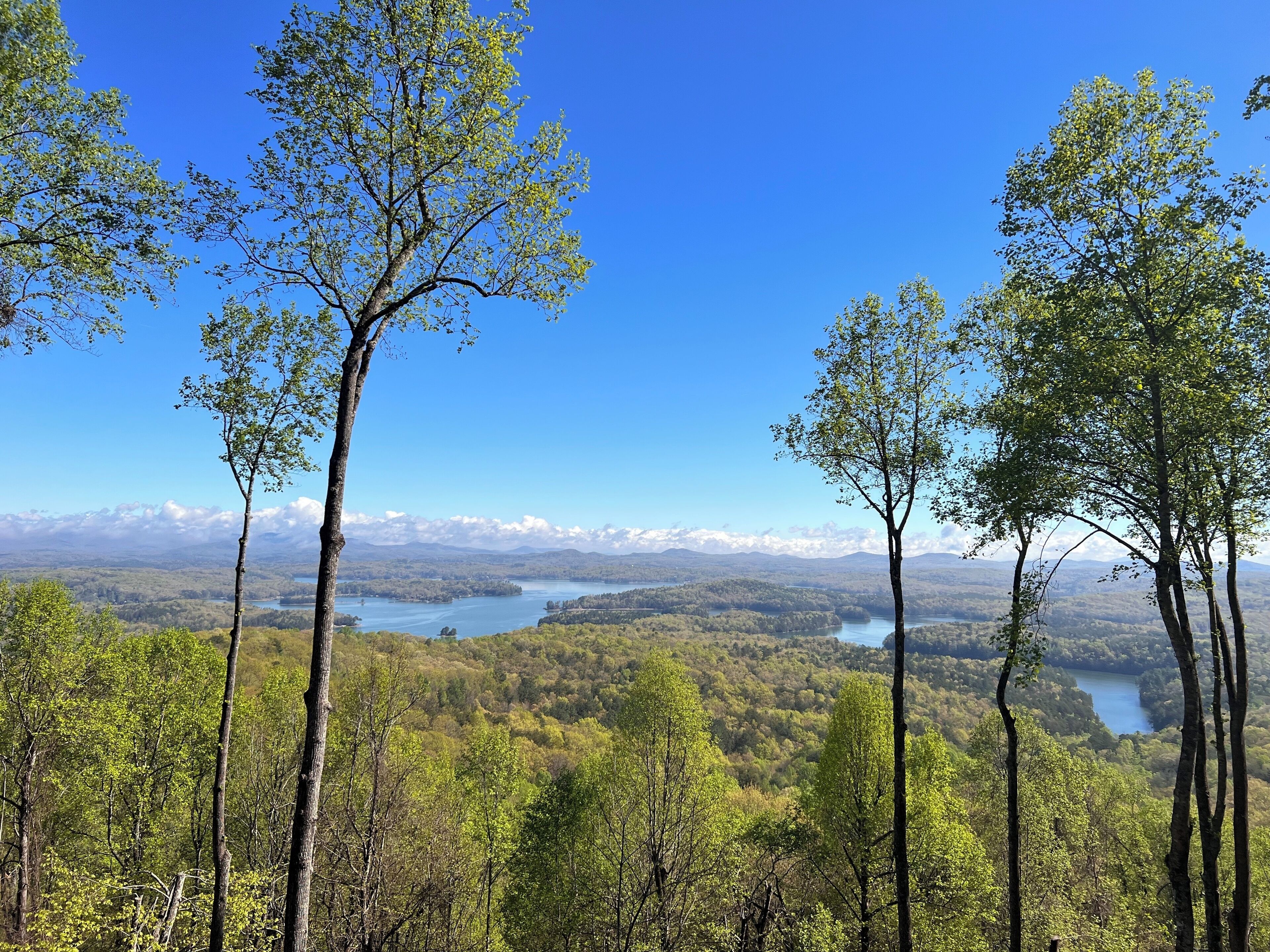 A Snow Fort II - Blue Ridge Ultra Luxury with Stunning Mountain & Lake Views