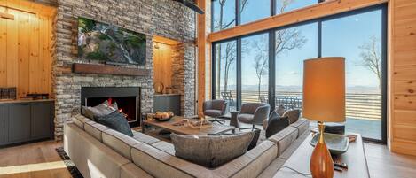 TV connectée, cheminée, lecteur de DVD, livres