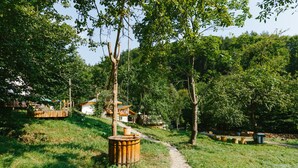 Eine rustikale Holzhütte, von einem Feldweg aus erreichbar, umgeben von üppiger Vegetation und Bäumen.