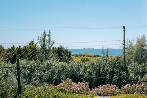 Sábanas de algodón egipcio y ropa de cama de alta calidad 