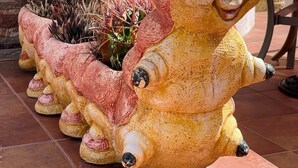 Une rangée de sculptures d’animaux décoratives, chacune accompagnée d’une plante.