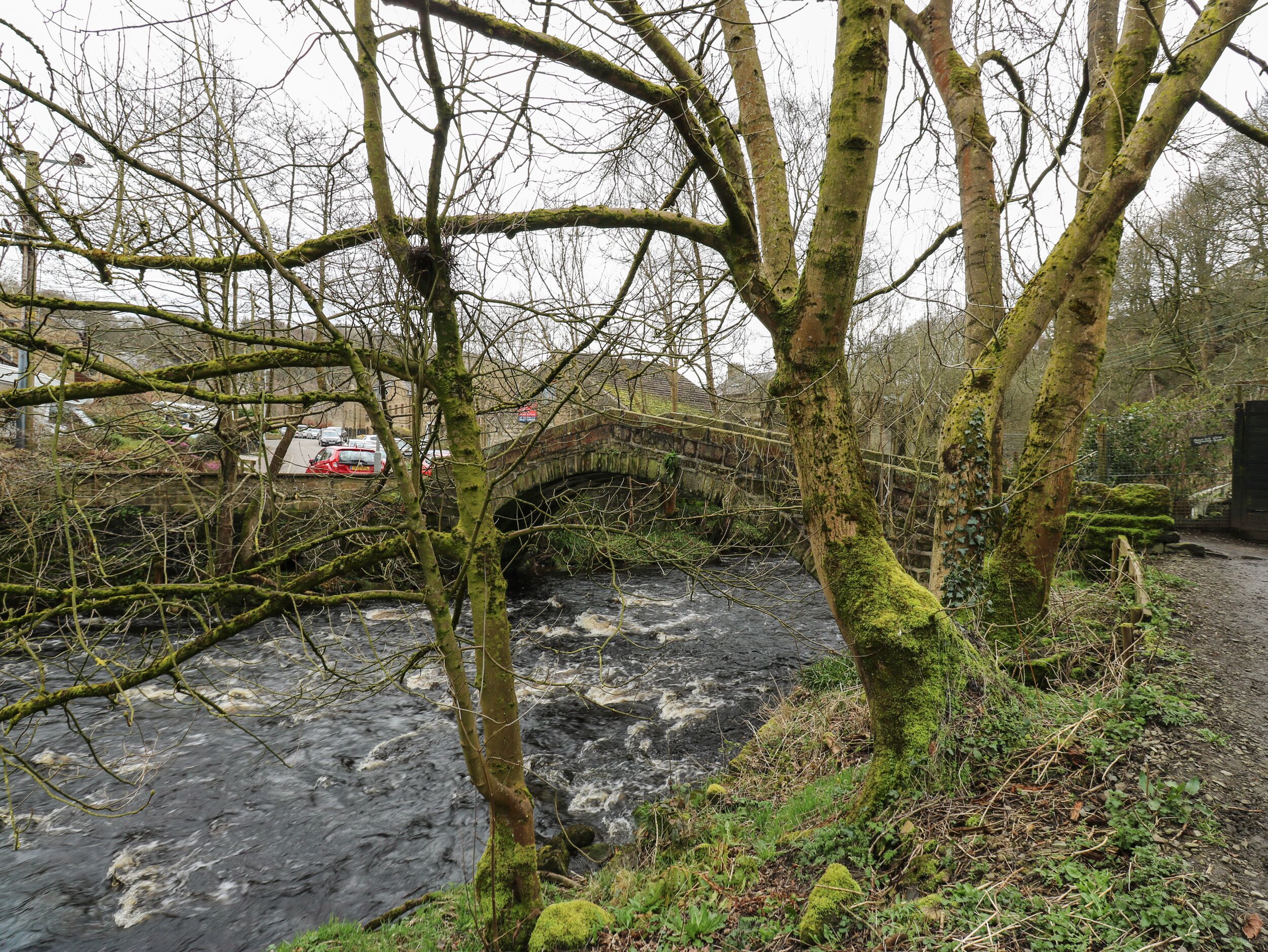 A stone bridge over a flowing river, surrounded by trees and greenery.