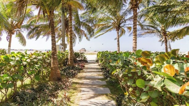 Ein von Palmen und üppiger Vegetation gesäumter Weg, der zum Strand führt.