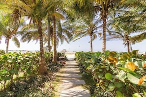 A pathway lined with palm trees and lush greenery, leading towards a beach. - Beachfront Apartment! (Cartagena de Indias)