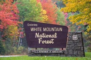Property grounds - Enjoy Everything The Whites Mountains Has To Offer (Gorham)