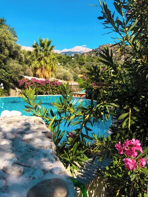 Un área de piscina con agua azul cristalina, rodeada de abundante follaje y flores rosadas.