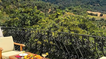 Phòng đôi Cao cấp, 1 phòng ngủ, không hút thuốc, quang cảnh vườn | Hiên