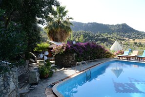 Una piscina con borde de piedra, rodeada de plantas en macetas y una palmera.