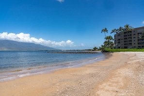 On the beach - Koa Lagoon- Beachfront - Spectacular Location with Incredible Views (KIHEI)