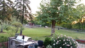 Ein Garten mit Grill, Blumentöpfen und einem Hund.
