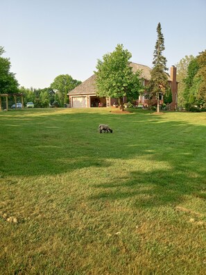 Áreas de la propiedad