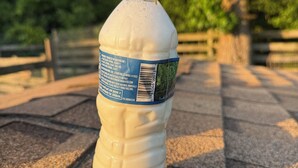 Eine Plastikflasche mit Etikett auf einer strukturierten Oberfläche.