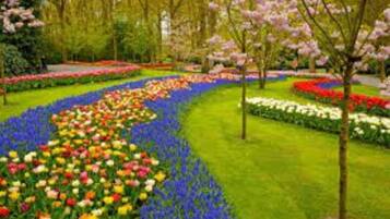 A garden with a variety of colorful flowers and trees.