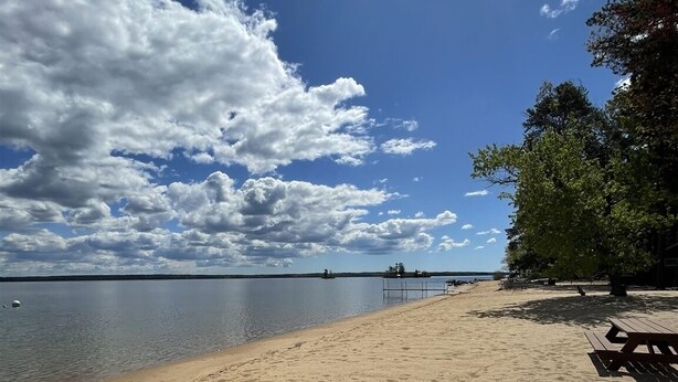 A beach with a wooden picnic table and a tree. - BEACHFRONT ON SEBAGO LAKE (Standish)
