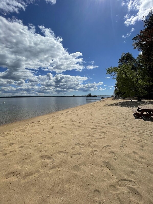 A beach with a wooden picnic table and a tree.