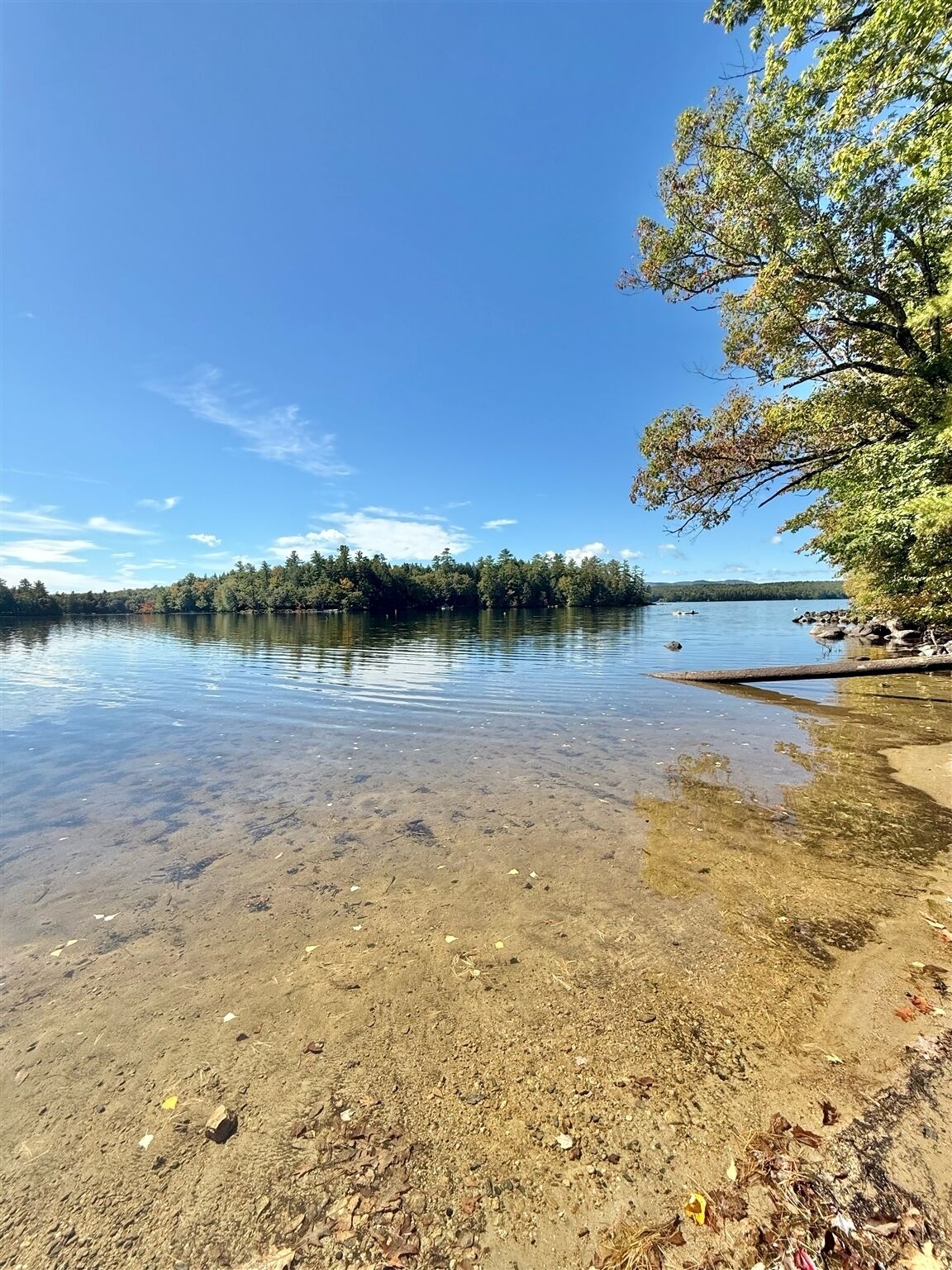 Un lago transparente con orilla de arena y árboles al fondo.