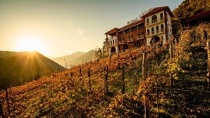 Viñedo con hileras de vides y un edificio con varios balcones que dan al viñedo.