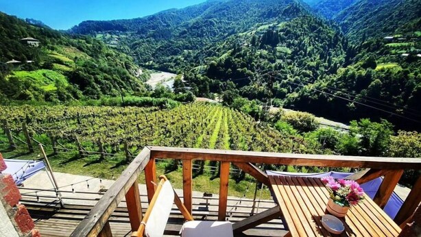 Una terraza de madera con una mesa y sillas, con vistas a un viñedo.