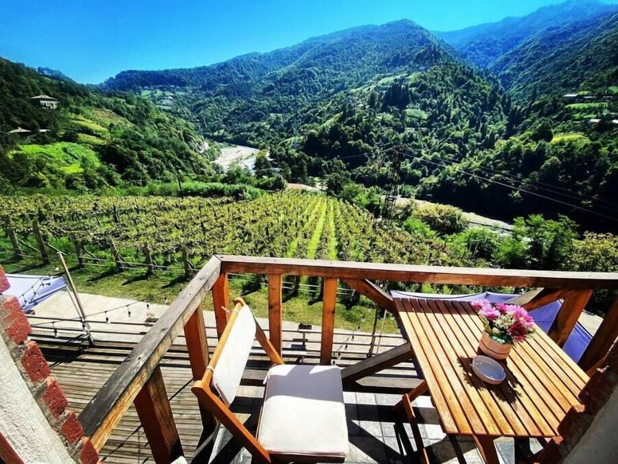 Bodega de vino