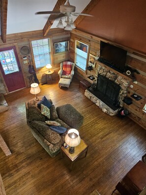 Smart TV, fireplace, books, music library