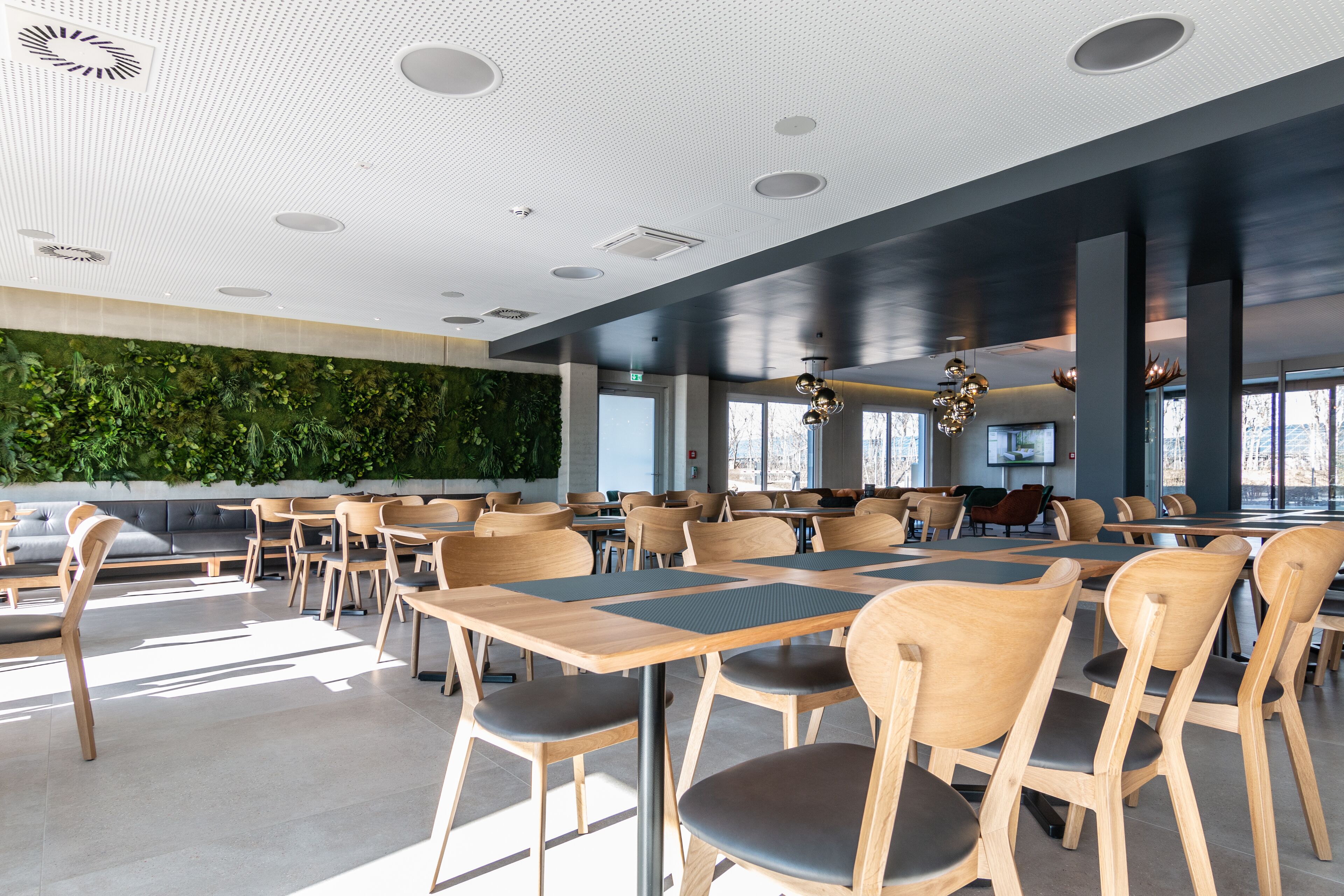 A modern restaurant with wooden tables and chairs, a green wall, and large windows.