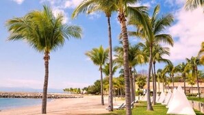 A beach with palm trees, a clear sky, and a white tent.