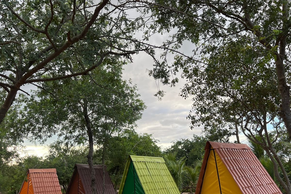 A row of colorful, triangular-roofed structures in an outdoor setting with trees.