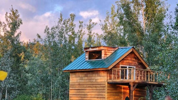 Eine Holzhütte mit Balkon, umgeben von einer grünen Wiese und Bäumen.