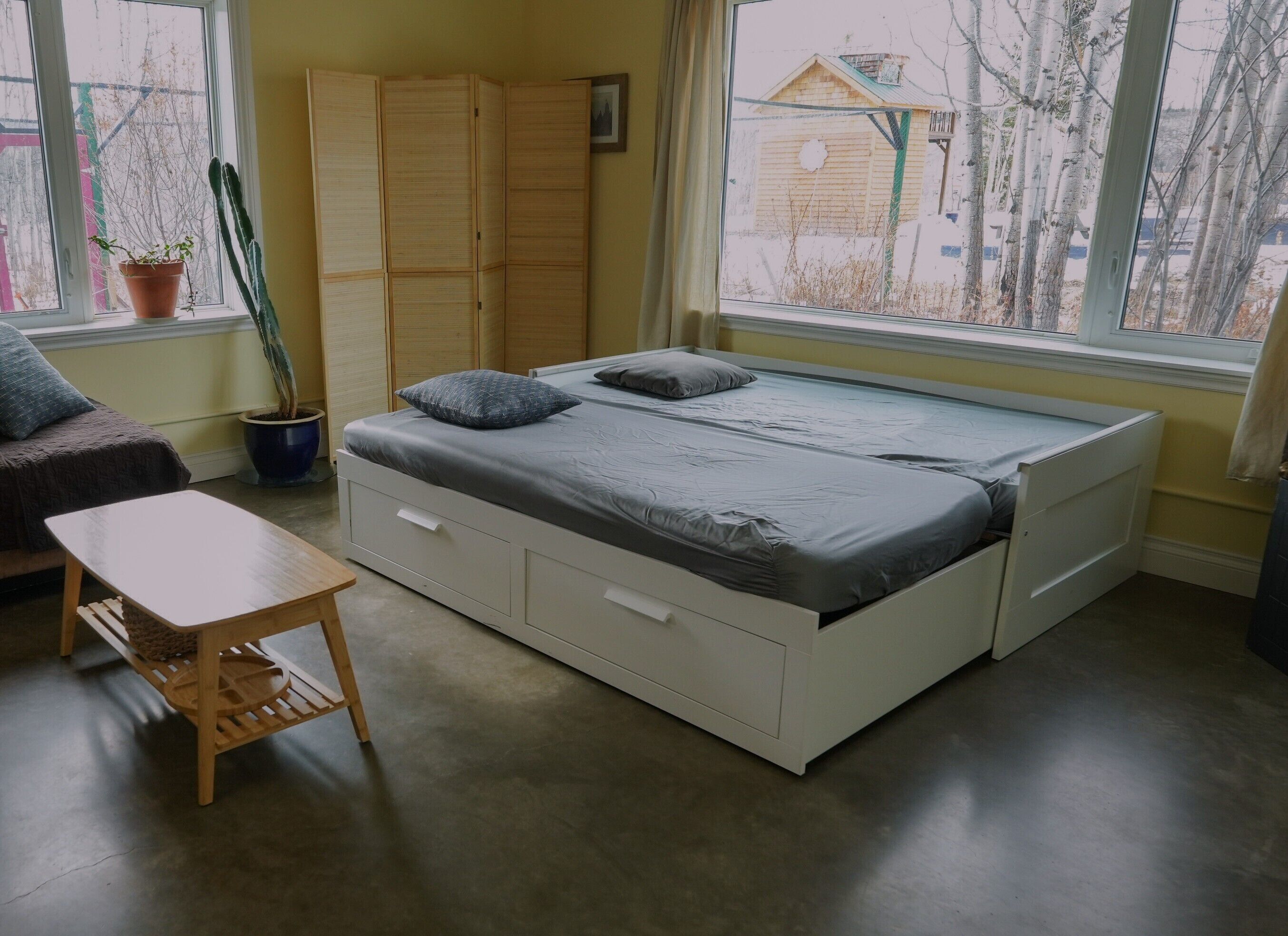 A room with a bed, a small table, a potted plant, and a view of the outside.