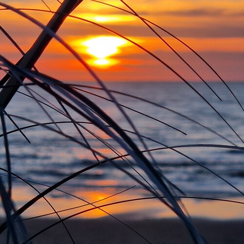Luxuriöses Ferienhaus mit überdachter Terrasse und Sauna