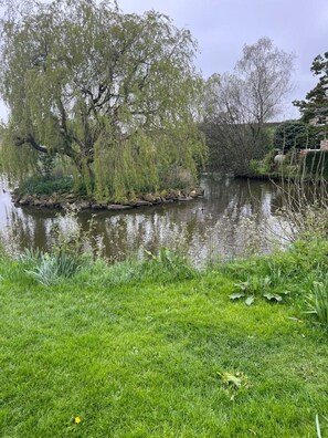 Property grounds - Woodside Cottage, Grewelthorpe , Nr Masham 4 Person Cottage (GREWELTHORPE)