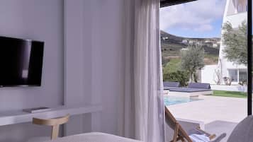 Junior Studio Suite | View from room