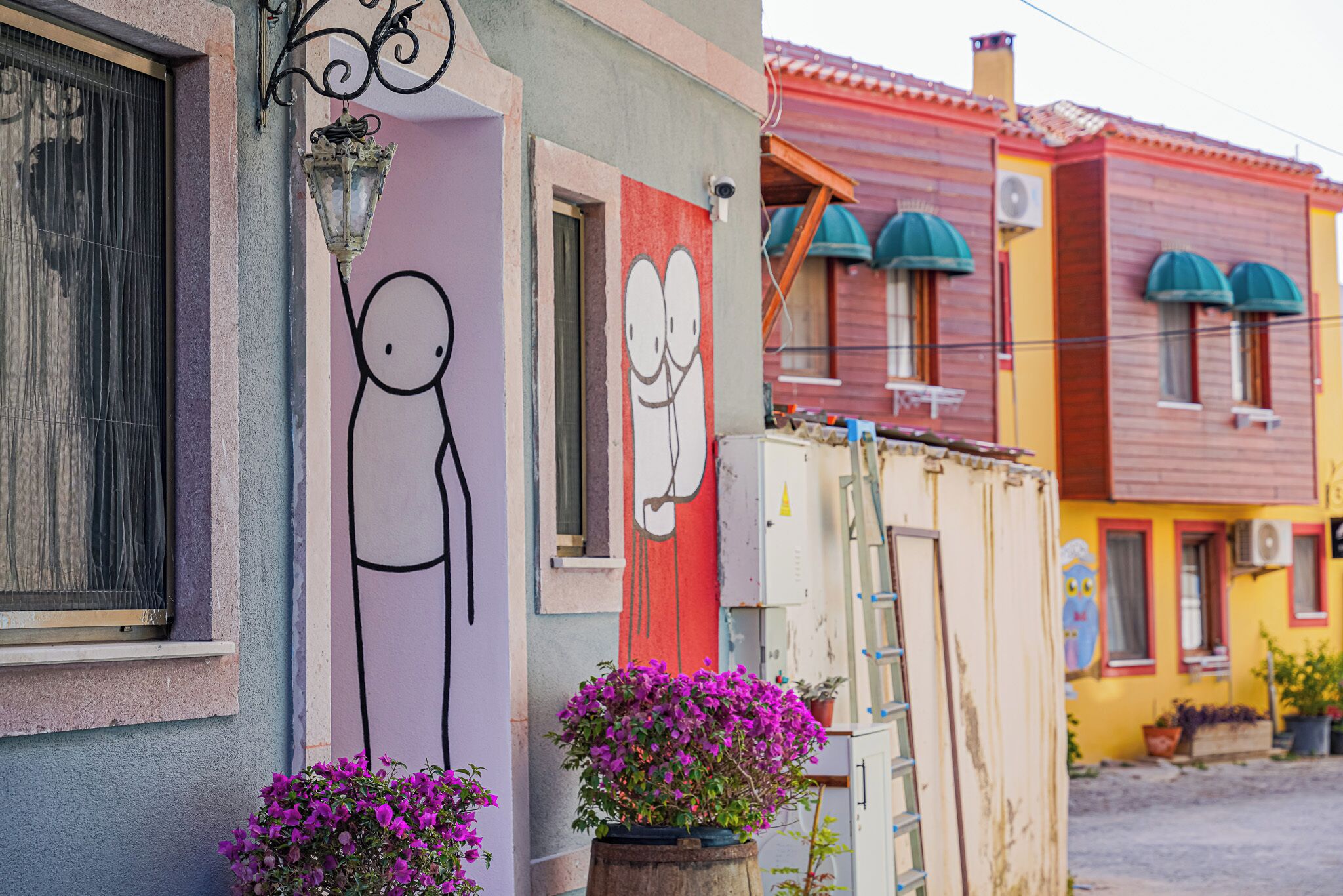 A colorful building with a mural of a smiling face, a potted plant, and a ladder leaning against the wall.