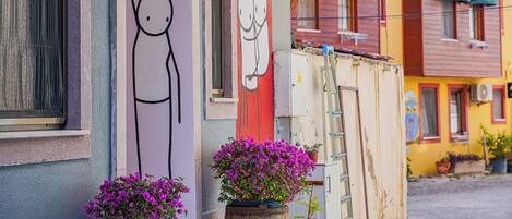 A colorful building with a mural of a smiling face, a potted plant, and a ladder leaning against the wall.