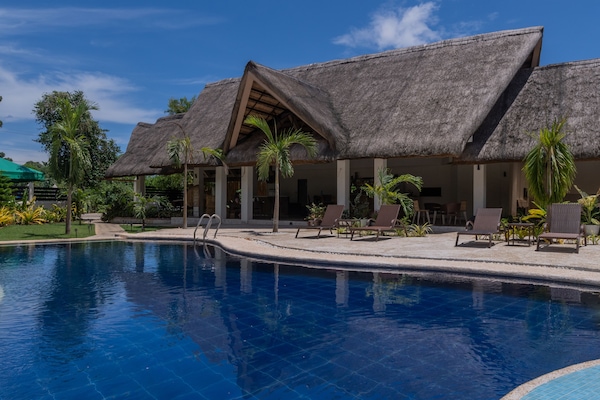 Outdoor pool, sun loungers